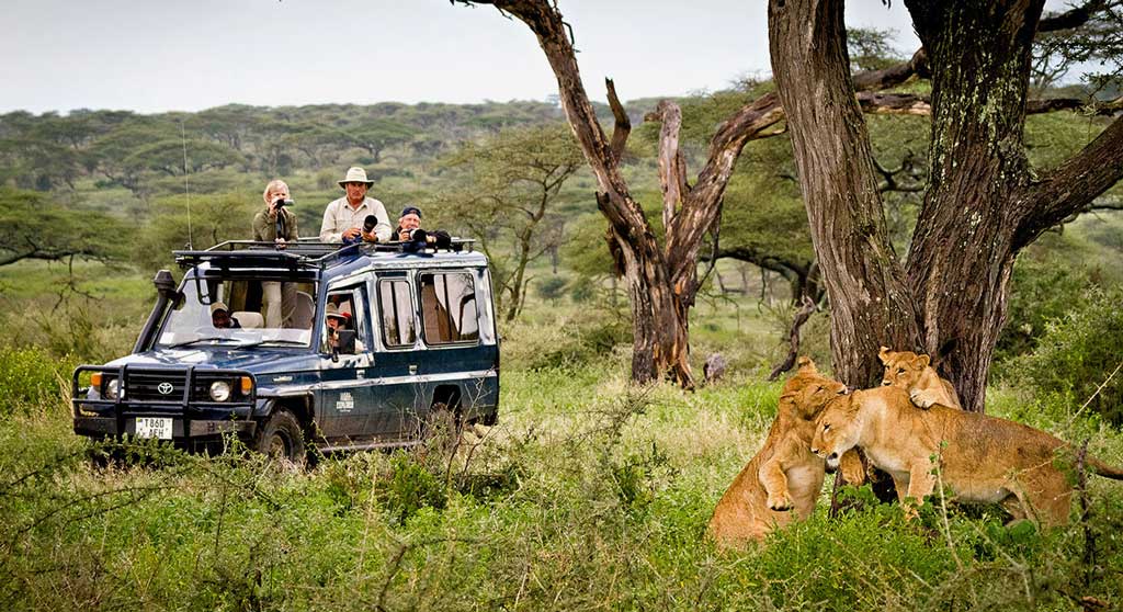 BEST 10 ACTIVITIES IN MANA POOLS NATIONAL PARK